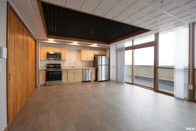 509 9th St unit 304, Dewitt, IA 52742 - photo 6