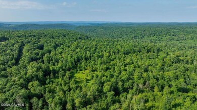 0 Kyttle Pike Rd unit 20-97737, Sweet Valley, PA 18656 - photo 4