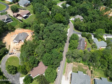 Aerial Shot
