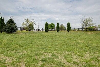 View from your front porch!