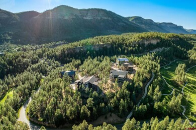 136 Outlaw Dr unit 3B, Durango, CO 81301 - photo 5