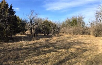 L11BA Floyd Ct, Weatherford, TX 76087 - photo 5