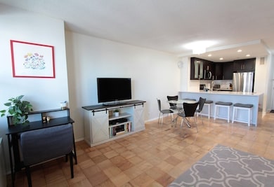 Tremont on the Common unit 16A, Boston, MA 02111 - photo 3