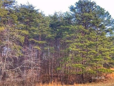 Pine Trees