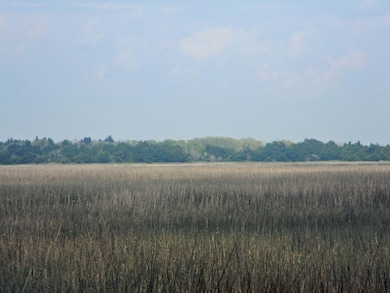 DSCN2500.jpg