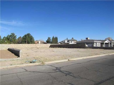 340 Duanesburg St, Horizon City, TX 79928 - photo 2