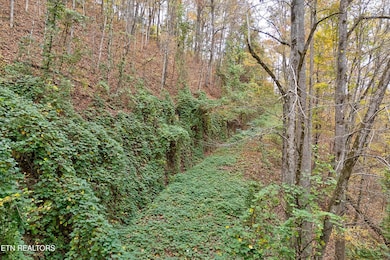 Lots 1 2 3 Timber Grove Rd, Sevierville, TN 37862 - photo 2