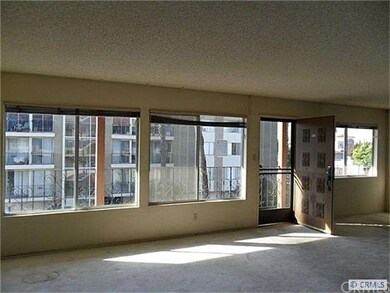 Large and Bright Living Room