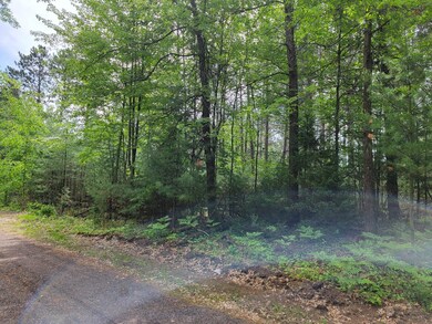 ON Charlene Ave, Tomahawk, WI 54487 - photo 2