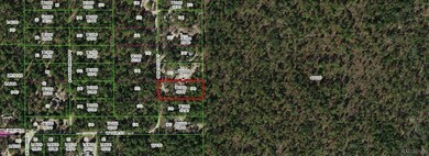 4801 N Mattox Point, Crystal River, FL 34428 - photo 6