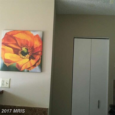 1609 Carriage House Terrace unit DD, Silver Spring, MD 20904 - photo 3