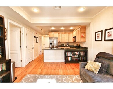396 Norfolk St unit 2, Cambridge, MA 02139 - photo 3