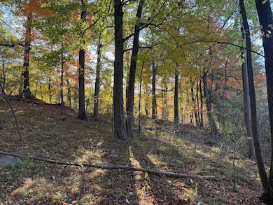 5950 S Lake George Rd, Dryden, MI 48428 - photo 3