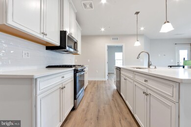 46320 Mount Milstead Terrace unit 305, Sterling, VA 20164 - photo 4