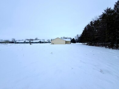 316 2nd St NE, Bertha, MN 56437 - photo 4