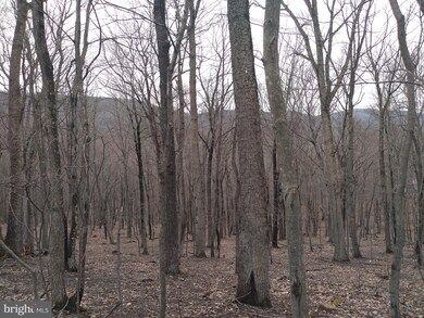 6.42 ACRES Mount Top Rd, Lost River, WV 26810 - photo 7