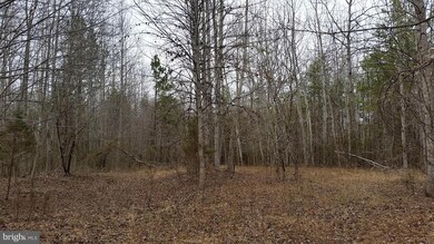 0 Vawter Corner Rd unit 1000545311, Louisa, VA 23093 - photo 4