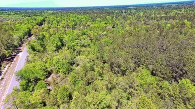 0 Bostic Pelt Rd unit 292682, Crawfordville, FL 32327 - photo 3