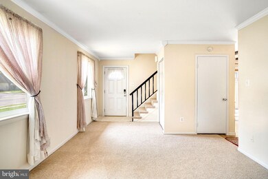 7909 Sausalito Place unit A, Alexandria, VA 22309 - photo 4