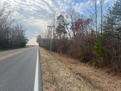 0 Patrick Henry Hwy, Phenix, VA 23959 - photo 3