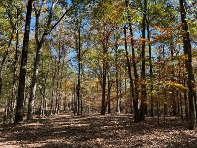 TBD Cr 435, Oxford, MS 38655 - photo 2
