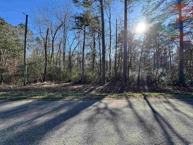 TBD Long Branch Swamp Rd, Nichols, SC 29581 - photo 3