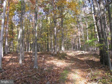 0 Spring Gap Rd unit 1004622236, Slanesville, WV 25444 - photo 6