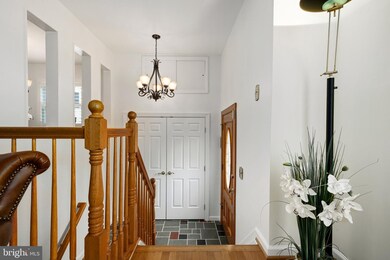 4100 Elizabeth St, Rockville, MD 20853 - photo 7