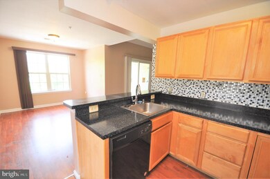 8901 Stone Creek Place unit 304, Pikesville, MD 21208 - photo 6