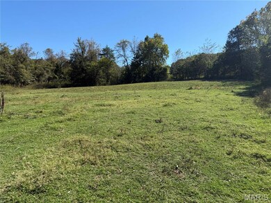 0 Cr 157 unit MIS25069294, Des Arc, MO 63636 - photo 3