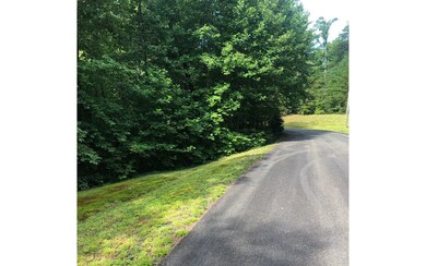 33/34 Maple Rest Ln, Ellijay, GA 30540 - photo 3