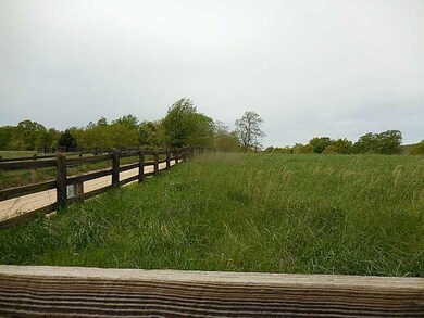 13366 Green Rd, West Fork, AR 72774 - photo 4