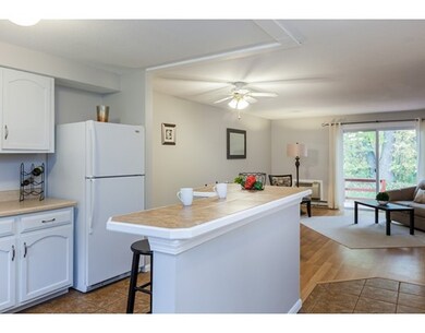60 Hadley Village Rd unit 60, South Hadley, MA 01075 - photo 3