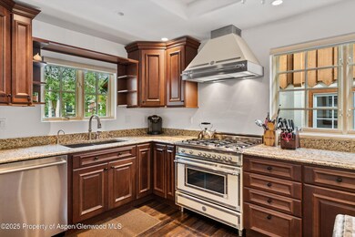 710 S Mill St unit 6 & 7, Aspen, CO 81611 - photo 6