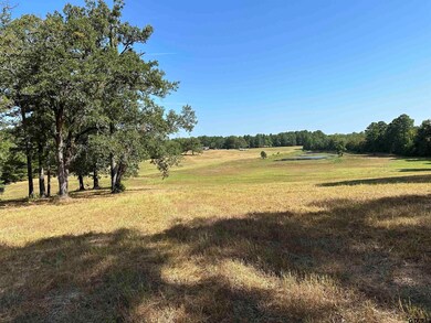 12187 County Road 215, Tyler, TX 75707 - photo 4