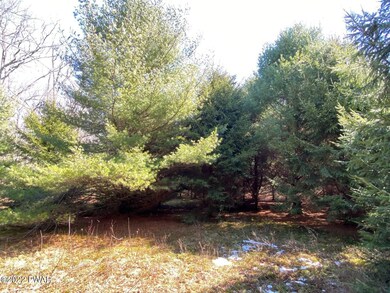 0 Long Ridge Rd, Hawley, PA 18428 - photo 5