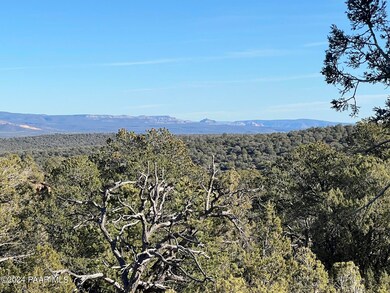 Se 49 Norma Ln, Ash Fork, AZ 86320 - photo 4