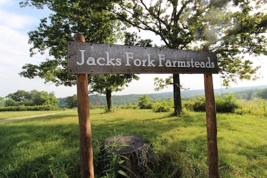 Tbd Off of Highway 137, Willow Springs, MO 65793 - photo 3