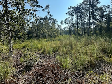 00 Hwy 111 South Tract 1, Cairo, GA 39828 - photo 2