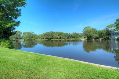 161 Shore Rush Dr, Saint Simons Island, GA 31522 - photo 3