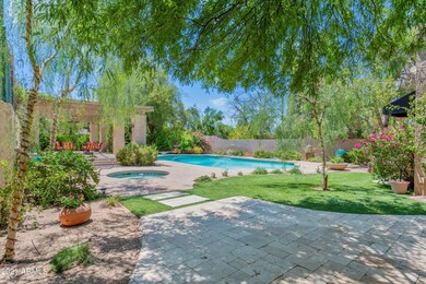 backyard 2