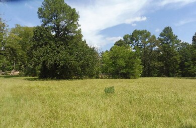 TBD Pinewood Valley, Hockley, TX 77447 - photo 3