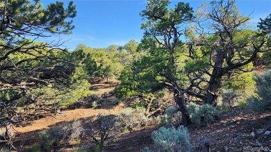 1702 Luke Rd, Fort Garland, CO 81133 - photo 4