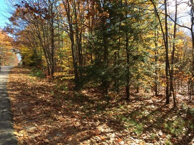 20.3 County Rd, Acton, ME 04001 - photo 6