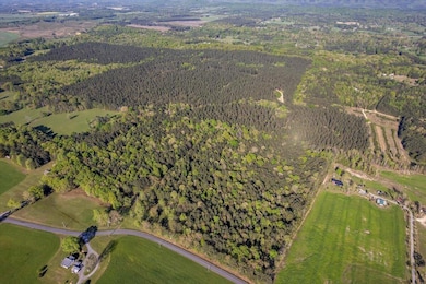 37 Ac Carson Ave, Crandall, GA 30711 - photo 7