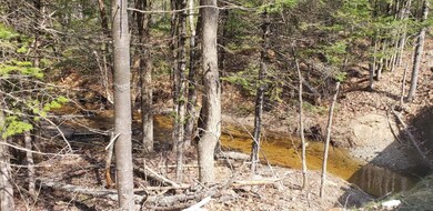 M21 L34A N Bridgton Rd, Bridgton, ME 04009 - photo 5