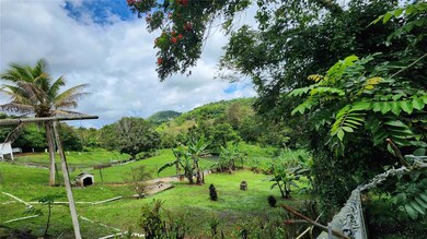 3 Bo Quebrada, San Lorenzo, PR 00754 - photo 5