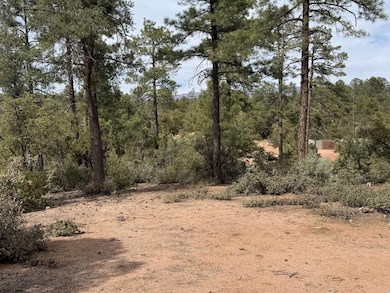 700 N Tyler Pkwy, Payson, AZ 85541 - photo 6