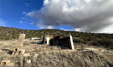 0 Tuckerway Ranch Rd, Acton, CA 93510 - photo 4