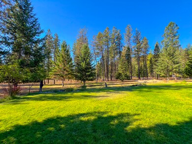 249 Eagle Dr, Chewelah, WA 99109 - photo 6